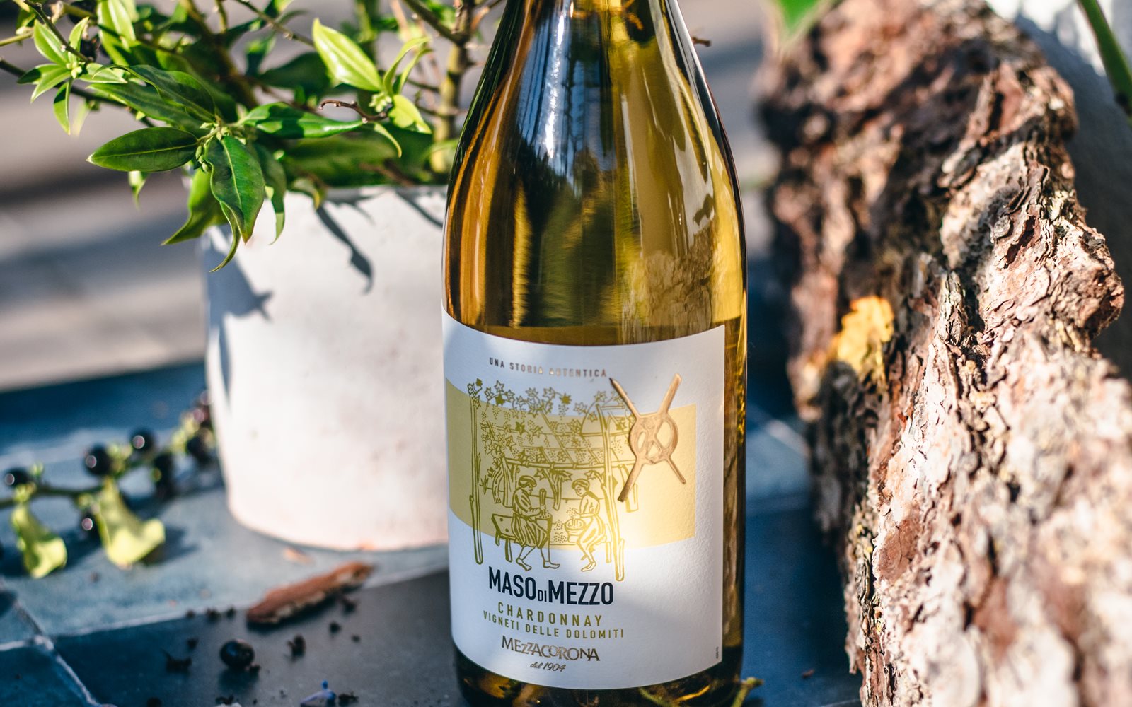 Chardonnay Maso di Mezzo