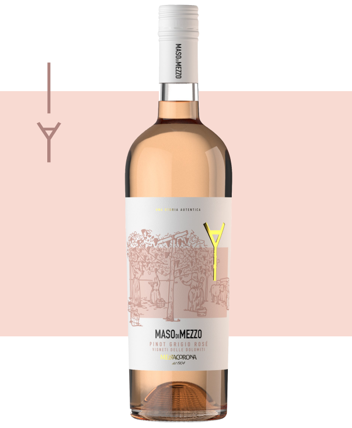 Pinot Grigio Rosé